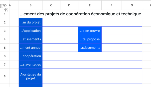 Formulaire d'enregistrement des projets de coopération économique et technique